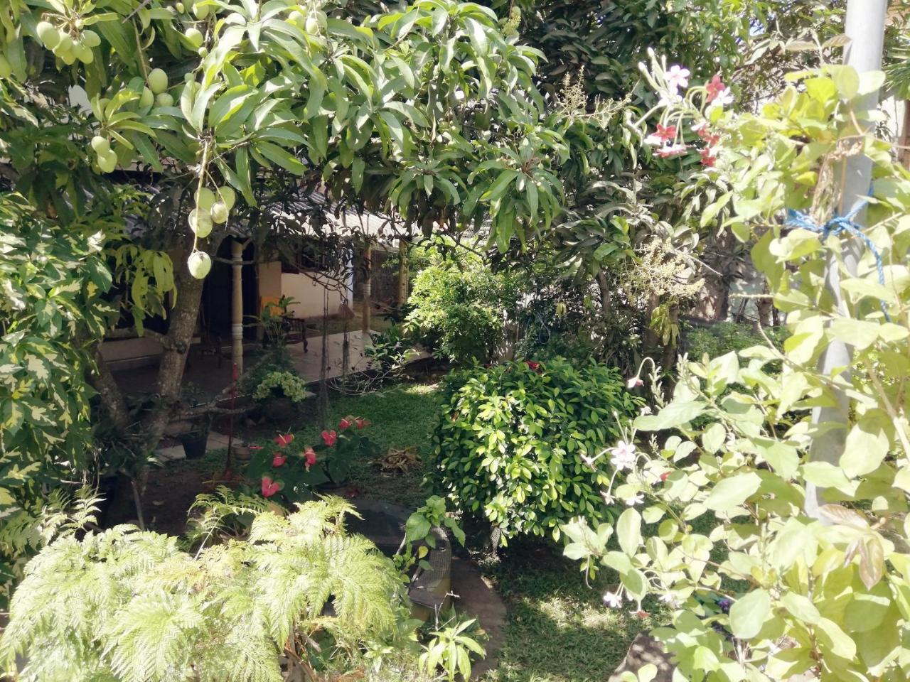 Nisadi Villa بينتوتا المظهر الخارجي الصورة