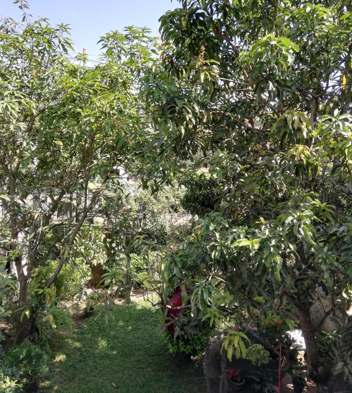 Nisadi Villa بينتوتا المظهر الخارجي الصورة